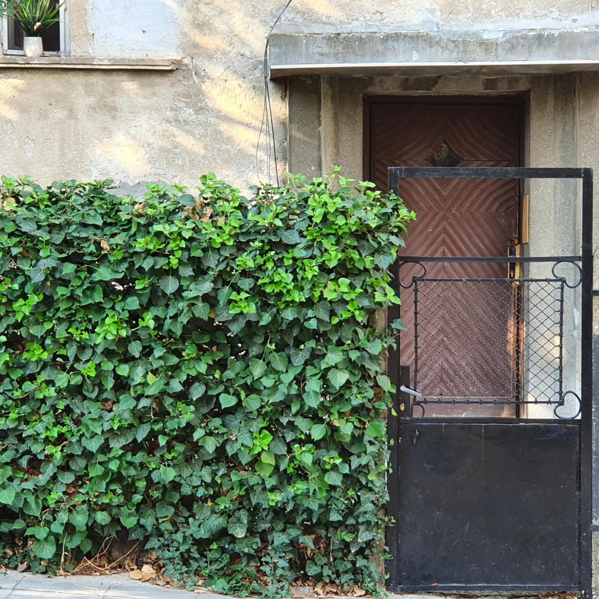 Brand New Apartment صوفيا الغرفة الصورة